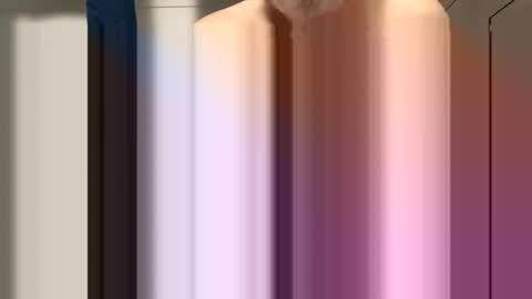 sdriv33390317 online show from 30, 3, 2026