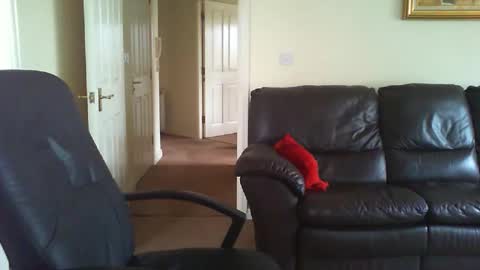 seakrait online show from 27, 3, 2026