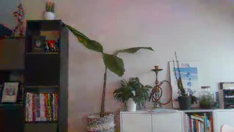 sebix9206 online show from 13, 2, 2025