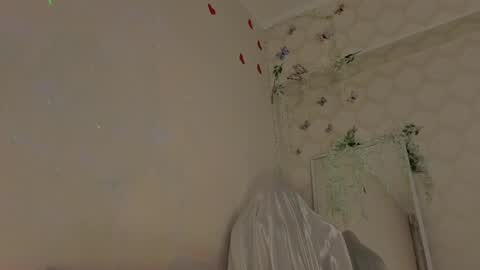 Snapshot of seductive_flower chatting on 20, 4, 2026 Mali online show from 20, 4, 2026