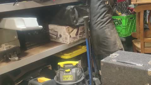 Snapshot of seeker404 chatting on 1, 1, 2025 Seeker online show from 1, 1, 2025