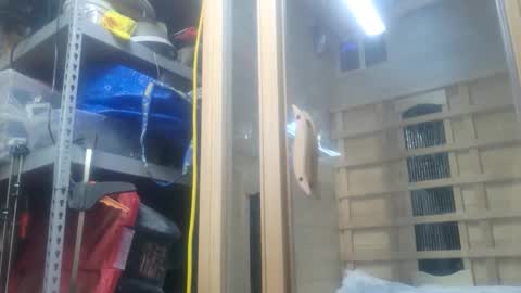 Snapshot of seeker404 chatting on 26, 10, 2025 Seeker online show from 26, 10, 2025