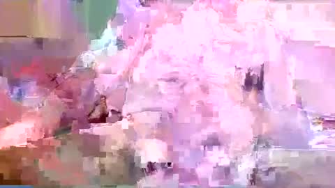 seekinghost online show from 17, 5, 2026
