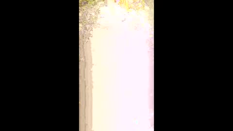 seethru9 online show from 2, 3, 2026