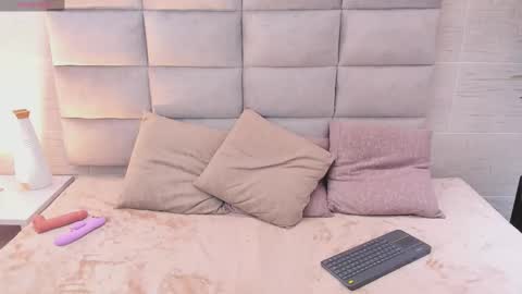 Snapshot of seikibee chatting on 19, 2, 2026 seikibee online show from 19, 2, 2026