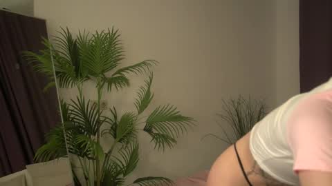 sweetie Selin 3 online show from 3, 11, 2025