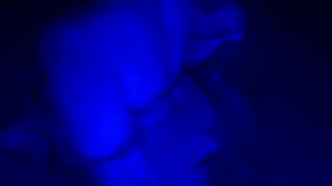 Snapshot of sensualsilhoutte chatting on 11, 7, 2026 sensualsilhoutte online show from 11, 7, 2026