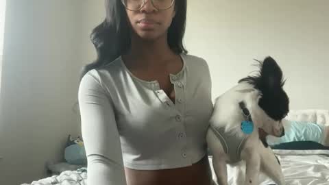 Serenity Bee   online show from 1, 3, 2026