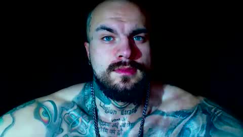 SevenDragons online show from 11, 4, 2026