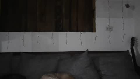 Snapshot of sexnchocolate chatting on 11, 1, 2025 Trixy Rose online show from 11, 1, 2025