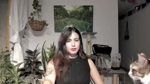         online show from 6, 2, 2026