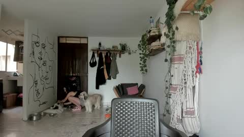         online show from 17, 3, 2026