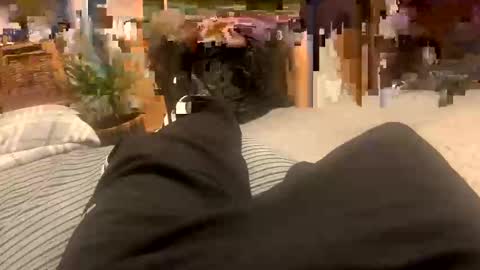 sexpest32 online show from 18, 1, 2026