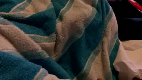 Snapshot of sexplorer54321 chatting on 3, 2, 2025 Sexplorer54321 online show from 3, 2, 2025