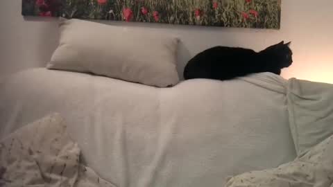 Snapshot of sexurbation chatting on 1, 1, 2025 Sexurbation online show from 1, 1, 2025