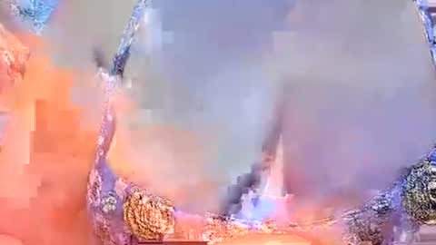 misslovely j online show from 2, 3, 2025