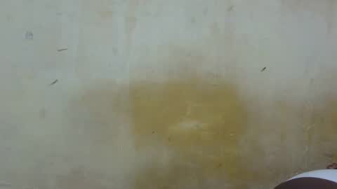 sexy_candy9 online show from 13, 1, 2026