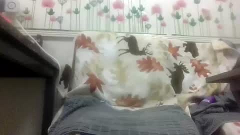 Daddy online show from 4, 2, 2026