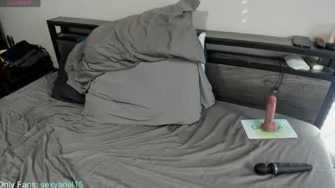 SexyAriel15 online show from 4, 4, 2026