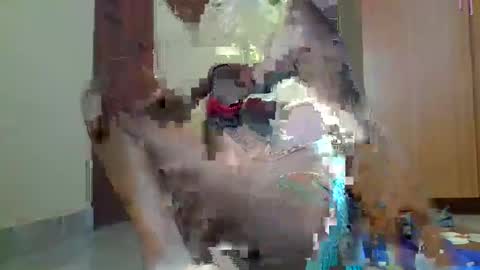 Snapshot of sexybilha483 chatting on 22, 2, 2025 Sexybilha483 online show from 22, 2, 2025