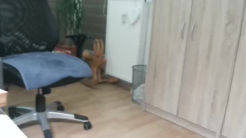 sexybub2 online show from 29, 12, 2024