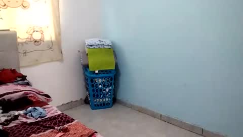 sexygril01 online show from 7, 11, 2025