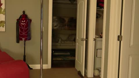 Snapshot of sexystackie chatting on 11, 2, 2026 Princess Jackie and Daddy Steve online show from 11, 2, 2026