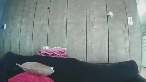 Snapshot of sexystripper69 chatting on 19, 2, 2025 sexystripper69 online show from 19, 2, 2025