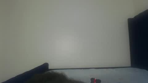 Shadow online show from 29, 11, 2025