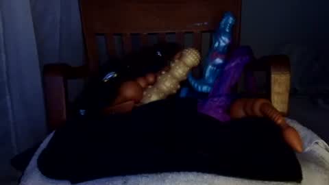 shakespeareisahomie online show from 19, 2, 2026