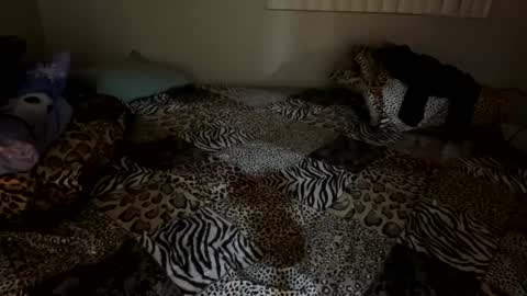 Snapshot of shamanwoman chatting on 6, 12, 2024 Shaman Woman online show from 6, 12, 2024