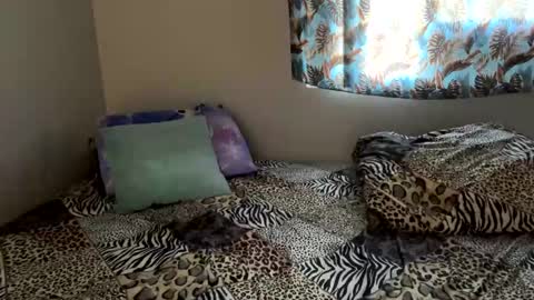 Snapshot of shamanwoman chatting on 6, 12, 2024 Shaman Woman online show from 6, 12, 2024