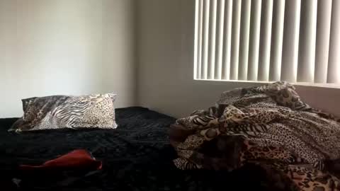 Snapshot of shamanwoman chatting on 25, 12, 2024 Shaman Woman online show from 25, 12, 2024