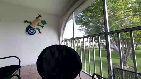 Shannon Spears online show from 5, 1, 2025