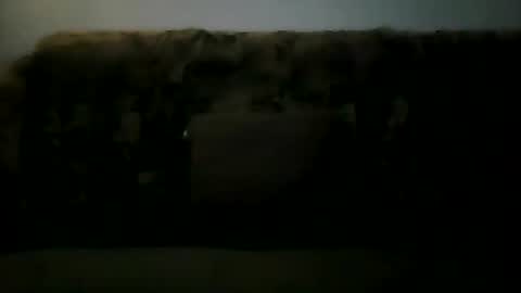 excelo21 online show from 26, 12, 2024