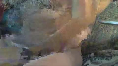 Sharkey644 online show from 11, 11, 2025