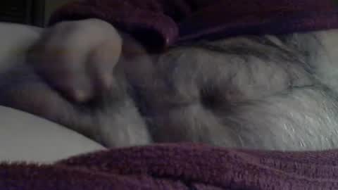 Sharkey644 online show from 3, 3, 2026