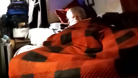 Snapshot of sharoc666 chatting on 4, 12, 2024 Shamroc online show from 4, 12, 2024