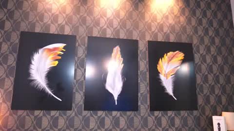 Sharom  online show from 13, 3, 2026