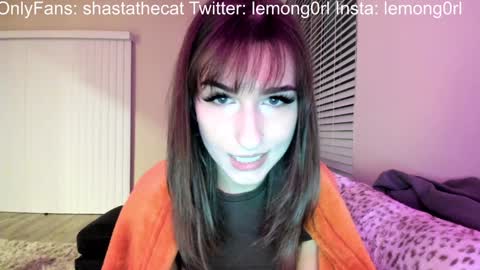 Snapshot of shastathecat chatting on 28, 12, 2024 Shasta online show from 28, 12, 2024