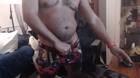 sheepishlion online show from 26, 11, 2025