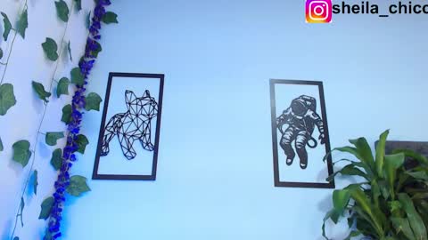 Snapshot of sheila_bigcok chatting on 26, 2, 2025 SHEILA  online show from 26, 2, 2025