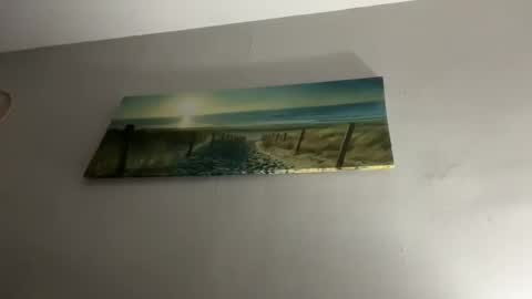 shida109 online show from 26, 11, 2025