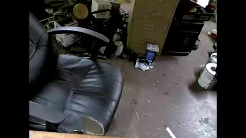 Snapshot of shoani chatting on 8, 11, 2025 Shoani online show from 8, 11, 2025