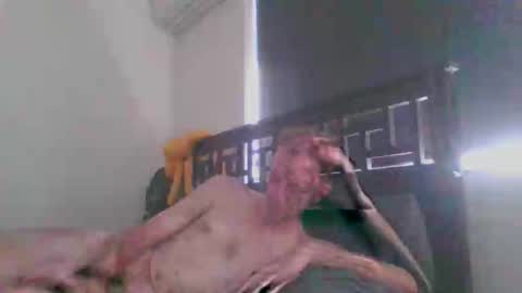 Snapshot of showmen101 chatting on 20, 12, 2025 JustAbitCheeky online show from 20, 12, 2025