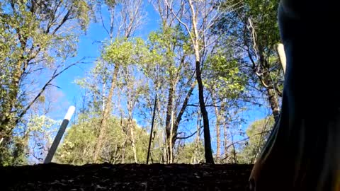 Snapshot of shy_college_girl chatting on 11, 1, 2025 Aurora Wolfe Shy College Girl Top 16 of all OF Creators online show from 11, 1, 2025