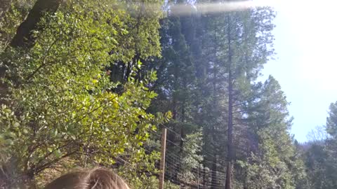 Snapshot of shy_college_girl chatting on 10, 2, 2025 Aurora Wolfe Shy College Girl Top 16 of all OF Creators online show from 10, 2, 2025