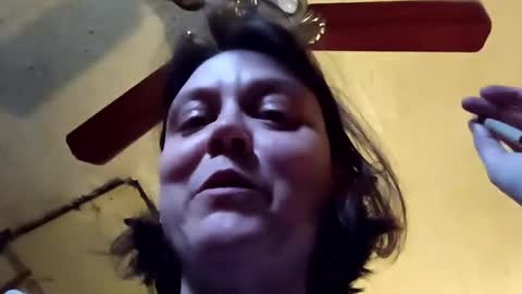 Bush with a class 3 rating online show from 6, 4, 2026