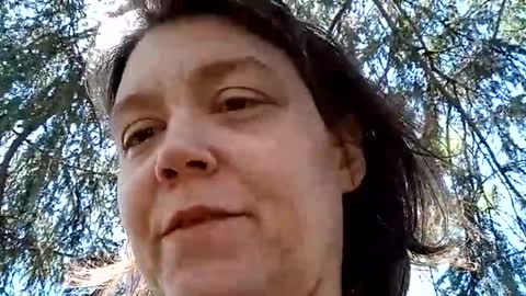 Bush with a class 3 rating online show from 23, 4, 2026