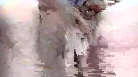 sigmaelixer online show from 29, 9, 2025